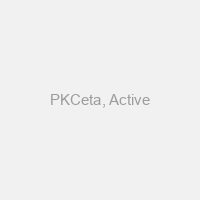 PKCeta, Active